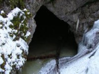 /album/galerie-foto/images-13-jpg1/